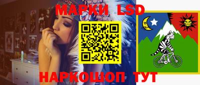мет Владимир