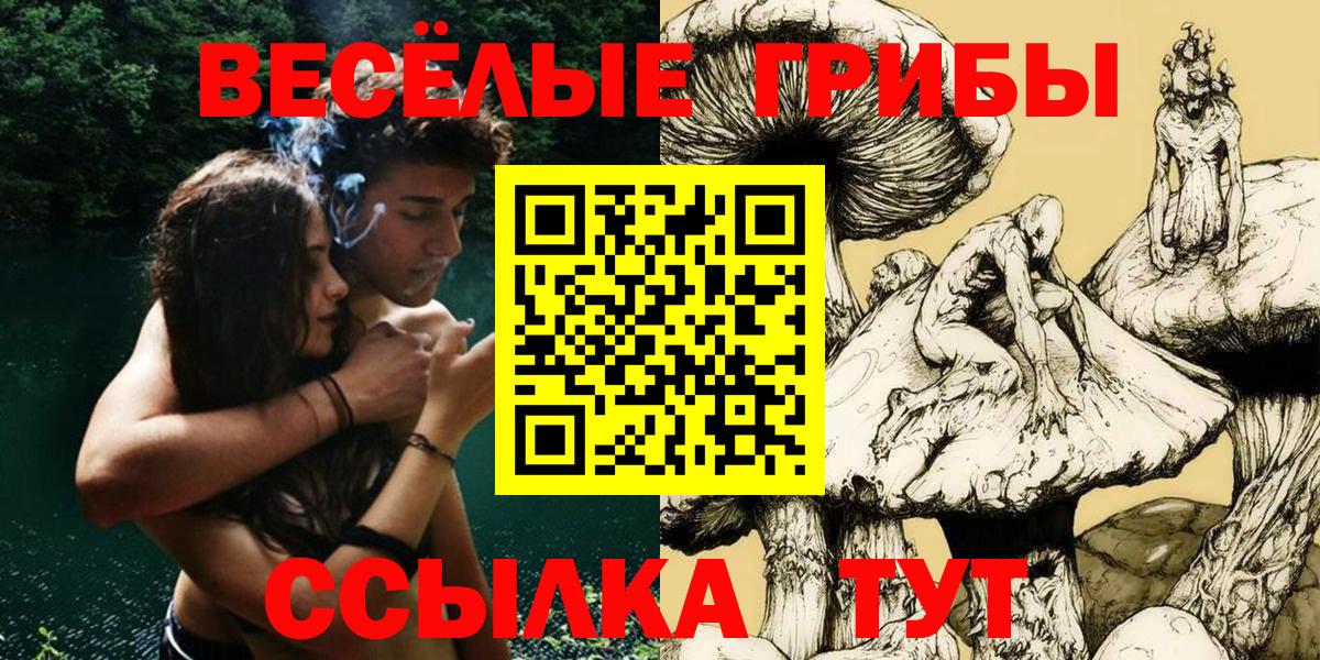 Галлюциногенные грибы Psilocybine cubensis Вольск