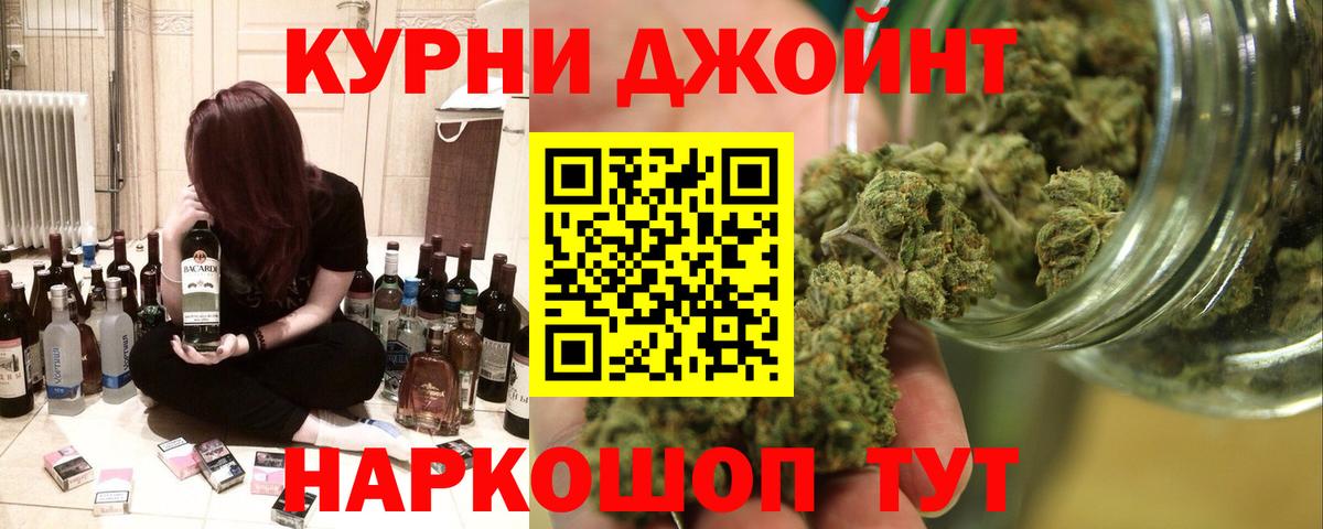 Каннабис конопля Вольск